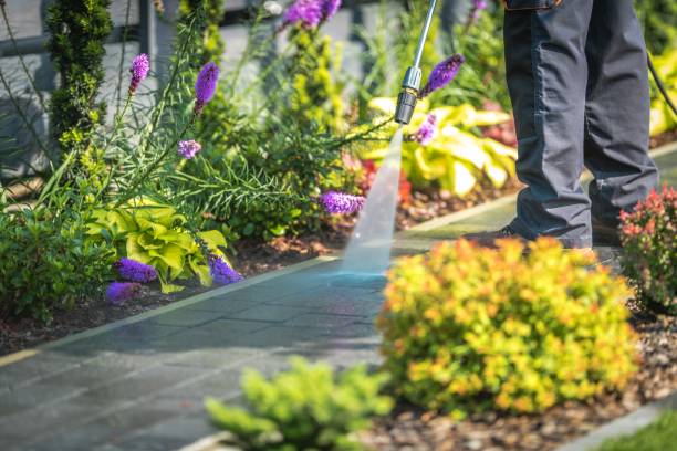 Professional Pressure Washing Services in Santa Ynez, CA