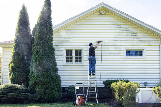 Best Fence Cleaning  in Santa Ynez, CA